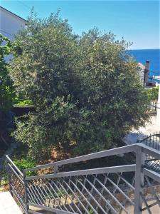 Larimar Cozy Apartment