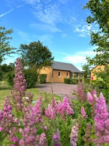 Chalet dans le Perche