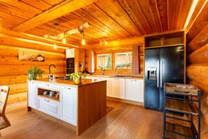 Villa Harmonia Private Jacuzzi and Pool Retreat near Rogaška