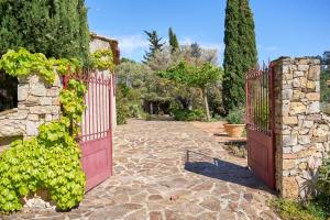Maisons de vacances Charme provencal Les amandiers piscine et animaux : photos des chambres