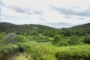 Buonriposo San Gimignano