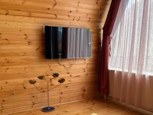 Vaso-Levani Kazbegi Cottage