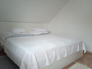 Várfürdő apartman