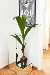 Perikleous Apartment