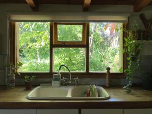 Guest Cabin