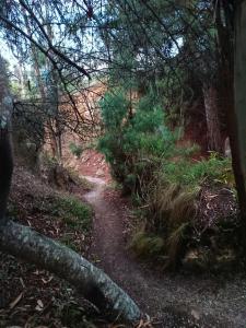 Eco-cabaña piemonte