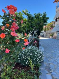 Amazing familiar apartments and rooms