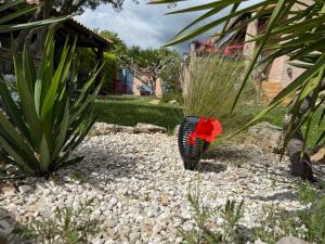 B&B / Chambres d'hotes Coquelicot : photos des chambres