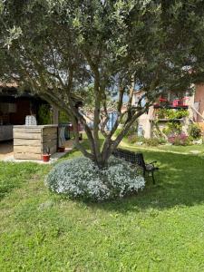 B&B / Chambres d'hotes Coquelicot : photos des chambres