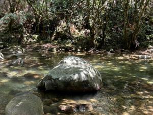Habitación para 2 con acceso al rio y baño privado