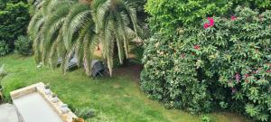 B&B / Chambres d'hotes Villa des Fleurs d'Ajoncs : Chambre Triple avec Salle de Bains