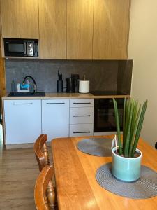 Apartamenty U Misia