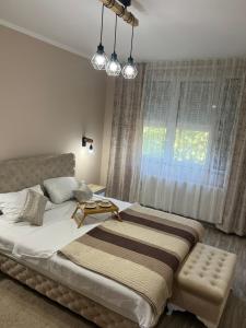 Apartman Trg Lux