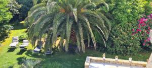 B&B / Chambres d'hotes Villa des Fleurs d'Ajoncs : photos des chambres