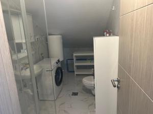 Apartment 12