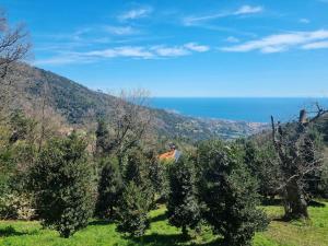 Tra il Mare e i Monti