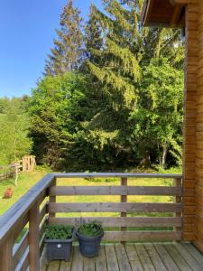 Chalets Chalet authentique au calme, en lisiere de foret, montagne, sentiers 15mn Gerardmer & Alsace 