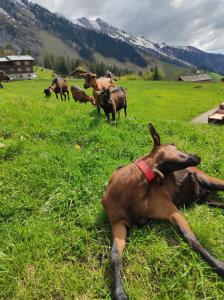 Le Week-End 3 étoiles, plein centre ville