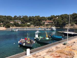 Between Land and Sea