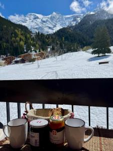 Appartements Grand appartement renove de 110m2 aux Contamines : photos des chambres