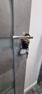 Back to Black Studio