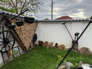 Cabana Razvan Forest