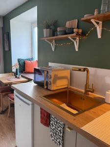 Appartements L-ecrin de la villa des roses : photos des chambres