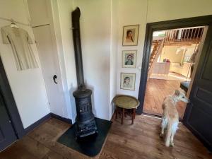 Brinkbacken, helt hus, fantastisk utsikt, stor tomt!