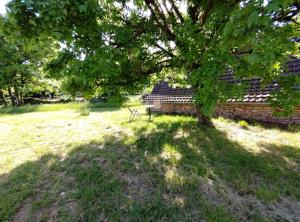 B&B / Chambres d'hotes la metairie haute : Chambre Double - Vue sur Jardin