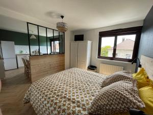 Appartements COLMAR Centre Private Parking : photos des chambres