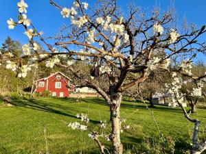Brinkbacken, helt hus, fantastisk utsikt, stor tomt!