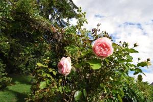 Apartment at Château Domoušice