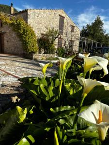 Agriturismo Santa Venera