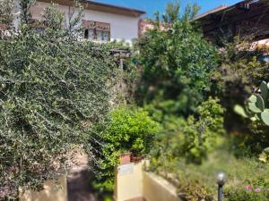 Isolarossa-apartments Casa Mariposa