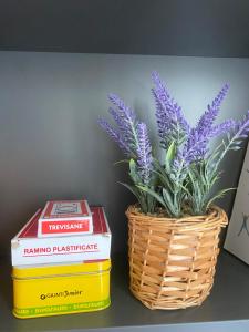 Gardasweethome