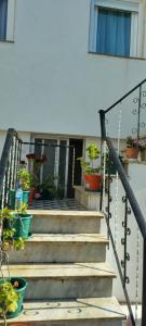 Daniela House