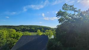 Chalets Coqslitscaux : photos des chambres