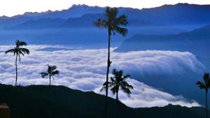 Minca El Dorado Reserve