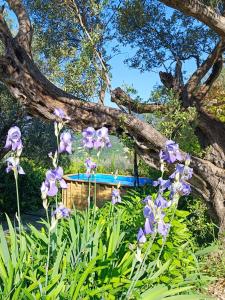 LAloha Gîte de charme au cœur de Fayence avec Vue Panoramique