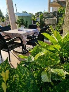 Ana's - 3hvězdičkové hotely ve městě Stari Grad