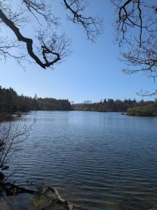 Lady Hill, Royal Hillsborough