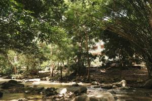 Hotel Hukumeizi Minca