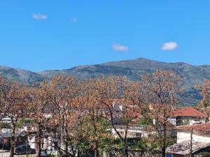 Friendship Dorms Hostel