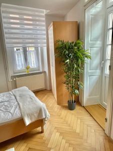 Topel dom v središču mesta 2