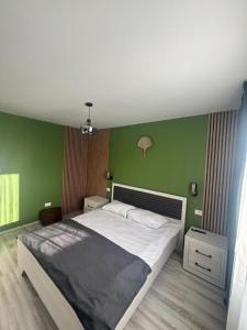 LUXURY APAETAMENT CENTRAL Piatra Neamt