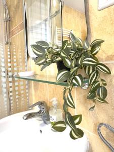 Topel dom v središču mesta 2