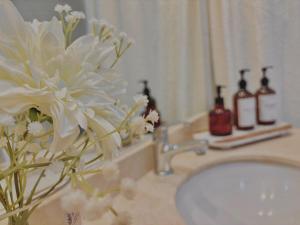 Style and Comfort in Las Condes