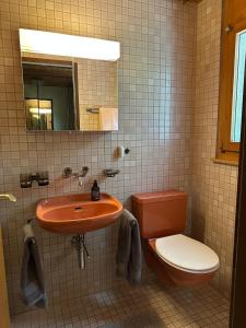 Chalet Rose - Einfamilienhaus