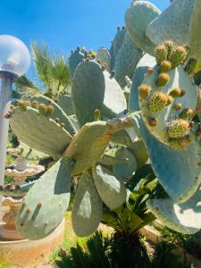 Villa Mania Casa Vacanze