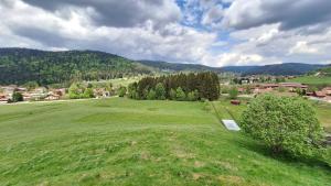 Chalets Chalet scandinave excellente situation GERARDMER XONRUPT : photos des chambres